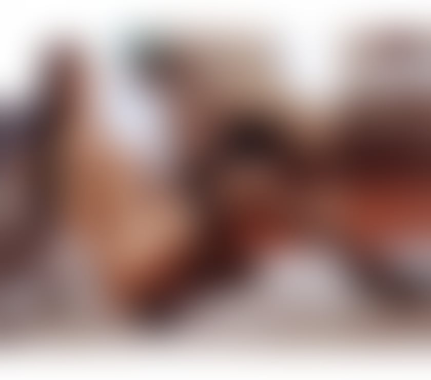 Escorts Hertfordshire St. Albans - Photos for Sophia sexy girl 🤩incall outcall