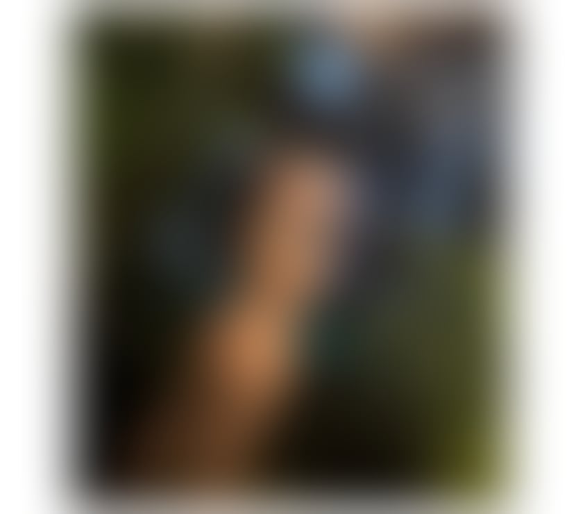 Escorts Gloucestershire Gloucester - Photos for Sophia 🦶FETISH🍑PARTY-STRAPON🍆