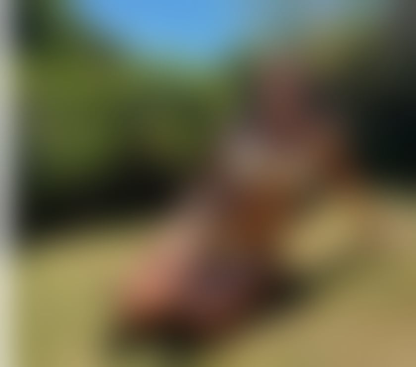 Escorts Kent Thanet - Photos for The Brunette of your dreams 🇧🇷🔥