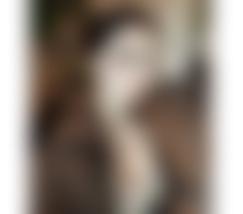 Escorts and Massages Cardiff City Centre Cardiff - Photos for Quiet Smiles, Real Connection🌺Cardiff