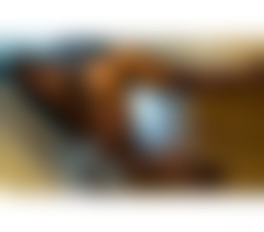 New in town best independent in hull