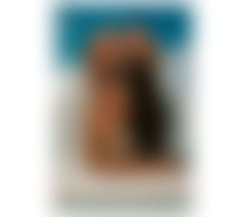 Escorts Merseyside Liverpool - Photos for Brenda - ur naughty escapade 100% REAL