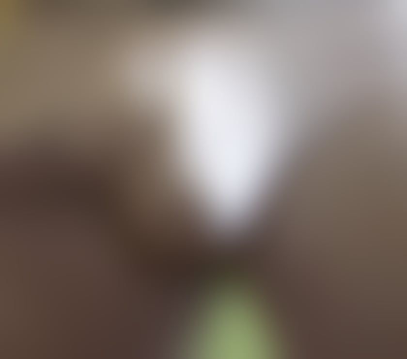 Escorts Sunderland City Centre Sunderland - Photos for Best sensual b2b massage only for ladies