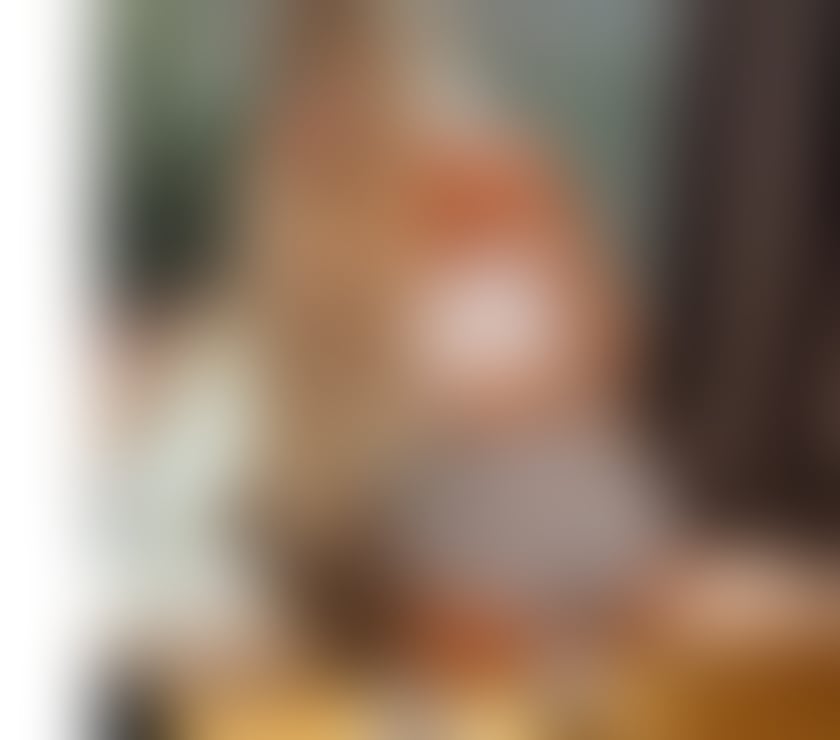 Photos for 👅new girl the best service in town🫦 🙈