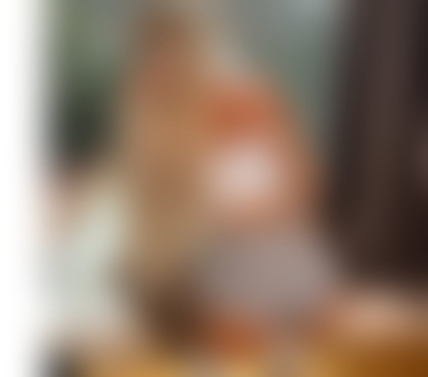 Photos for 👅new girl the best service in town🫦 🙈