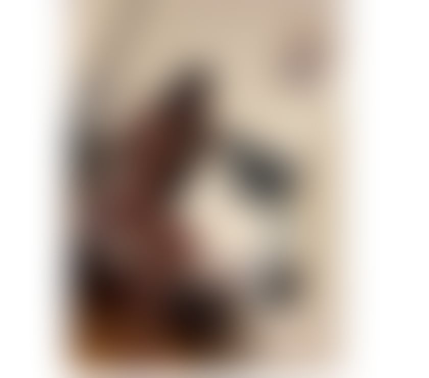 Escorts Warrington Warrington Town Centre - Warrington - Photos for Toop ❤️NEW GIRL ❤️ REAL PIC 100%