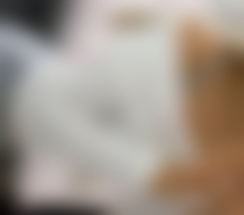 Escorts Kent Dartford - Photos for 9Hot girl xx call me x x xxxx