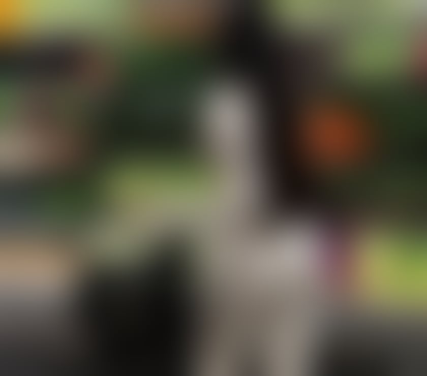 Escorts South West London Kingston upon Thames - Photos for NICOLE PARTY GIRL 🍾🔥 call me now 🔥 ✅