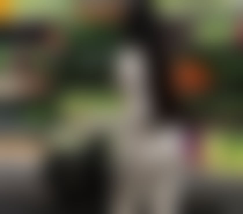 Escorts South West London Kingston upon Thames - Photos for NICOLE PARTY GIRL 🍾🔥 call me now 🔥 ✅