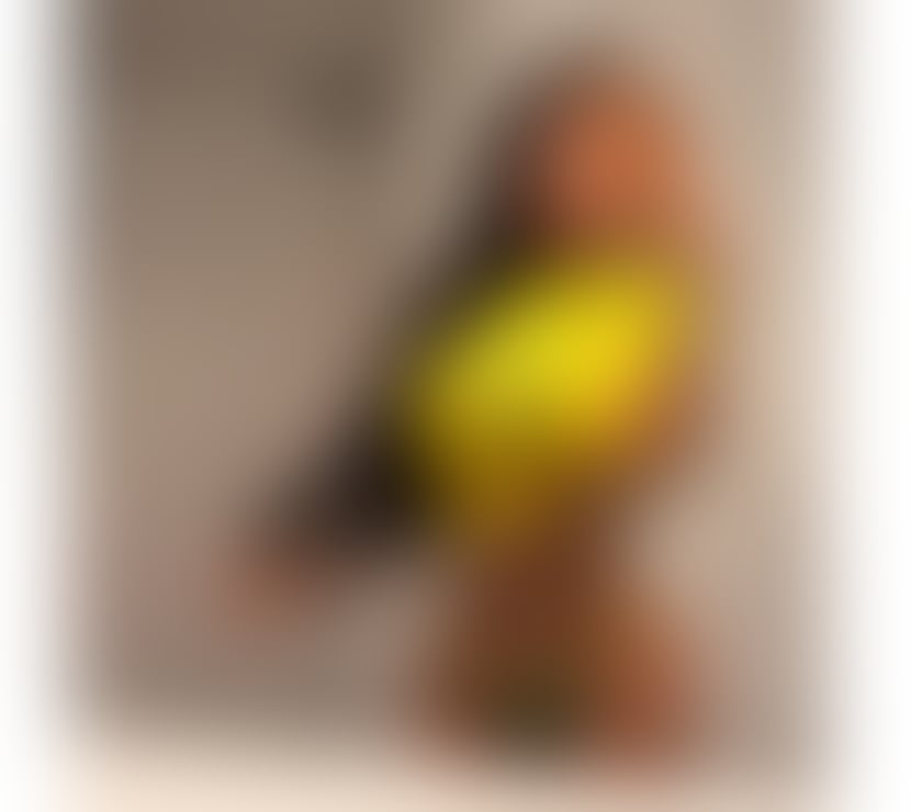 Photos for Júlia Machado 🪓