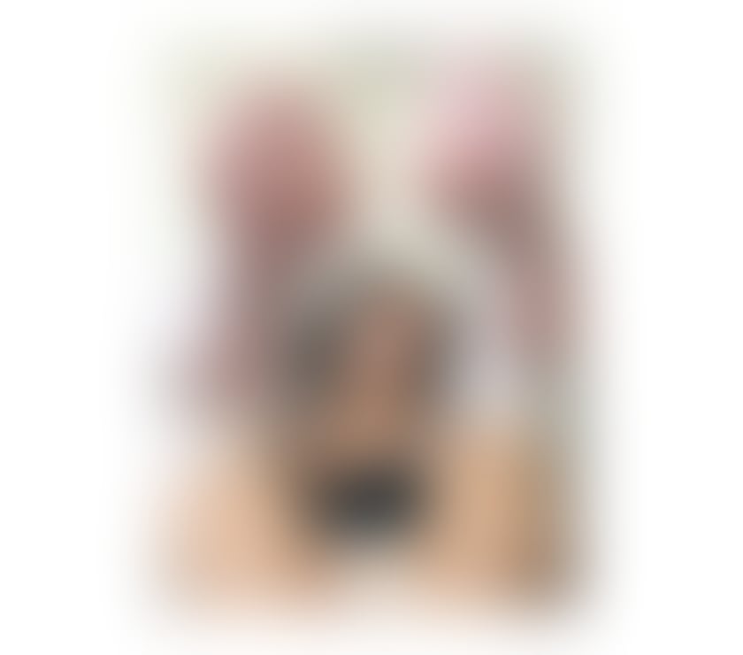 Escorts Bristol City Centre Bristol - Photos for EVELIN🔥🔝REAL PICS💥GENUINE,HOT AND SEXY