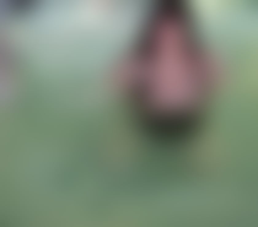 Escorts Worcestershire Redditch - Photos for Natali party grils full service big ass