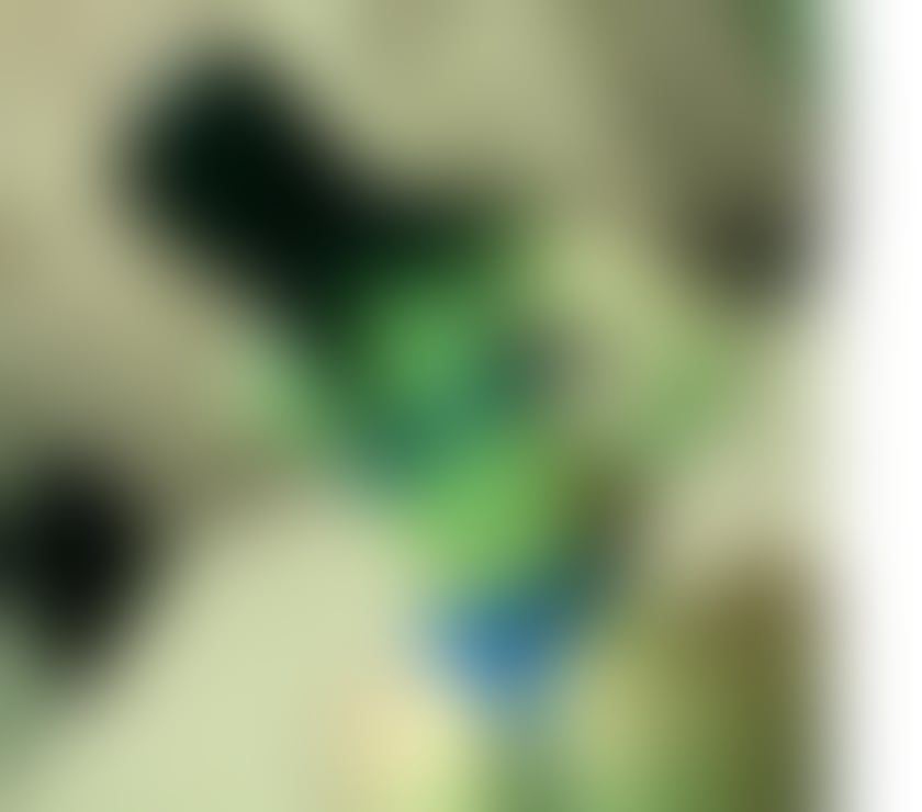 Escorts York York City Centre - York - Photos for Erycka🔞💦Real Girl❤️Party🍷