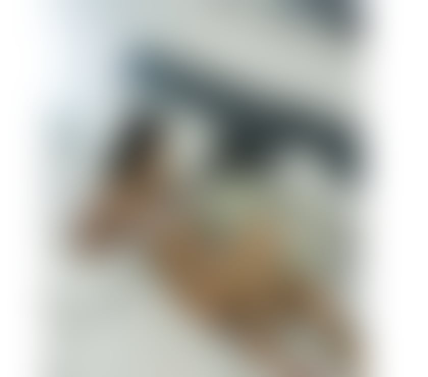 Escorts Tyne and Wear Sunderland - Photos for Jessy new in town