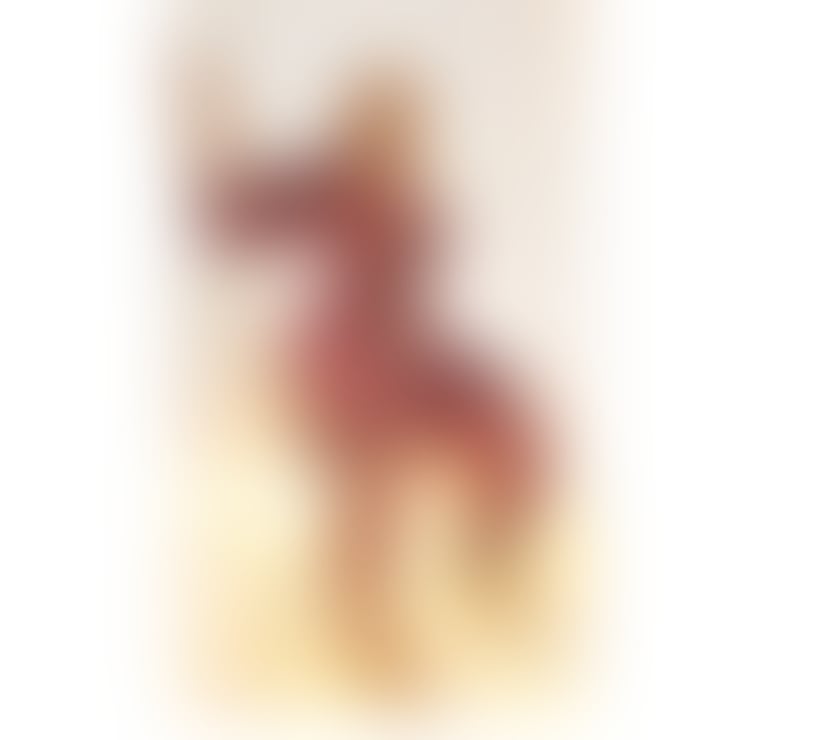 Escorts East London Stratford - East London - Photos for VIVÍ 🔥 Flirty, sexy, and full of temptation 😘