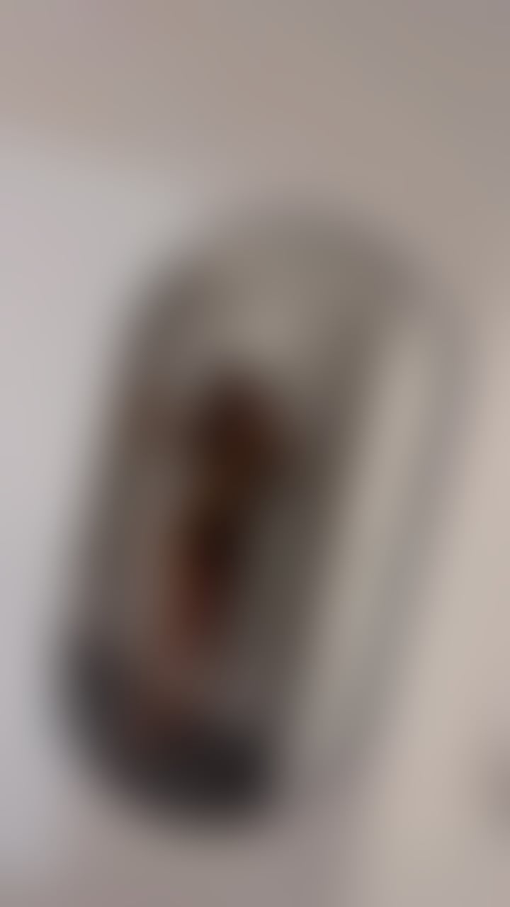 Trans Escorts Leicestershire Leicester - 