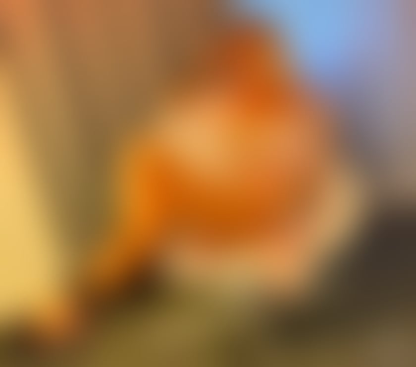 LEYLA 🖤GUARANTEE 💎100 %REAL PIC 💎 GFE NO RUSH