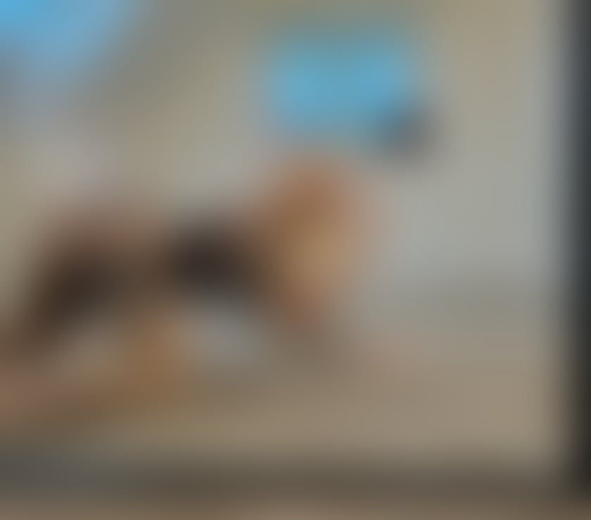 Escorts North Yorkshire Middlesbrough - Photos for 🔥PARTY GIRL🔥OWO💦ONLY OUTCALL OR VIDEO CALL🔥