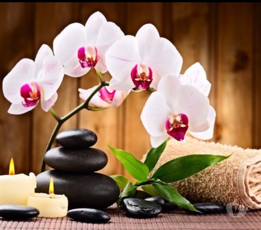 Full body massage West Yorkshire Bradford - Photos for Lotus Thai massage