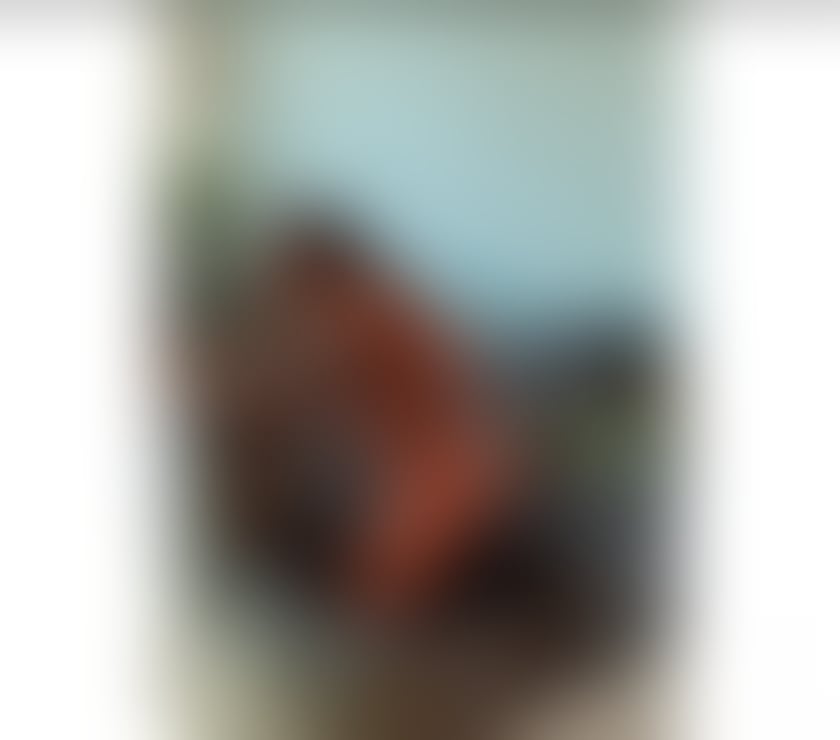 Escorts Essex Basildon - Photos for 🌹Lexiii 🌹REAL 100% best gfe