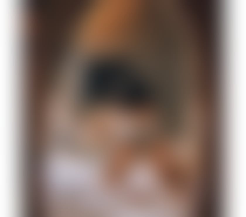 The best of Brazil in Reading