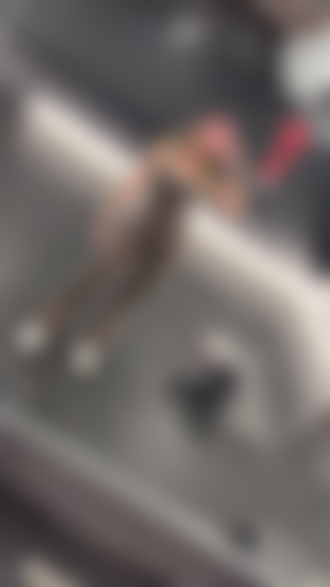 Escorts South Yorkshire Sheffield - 