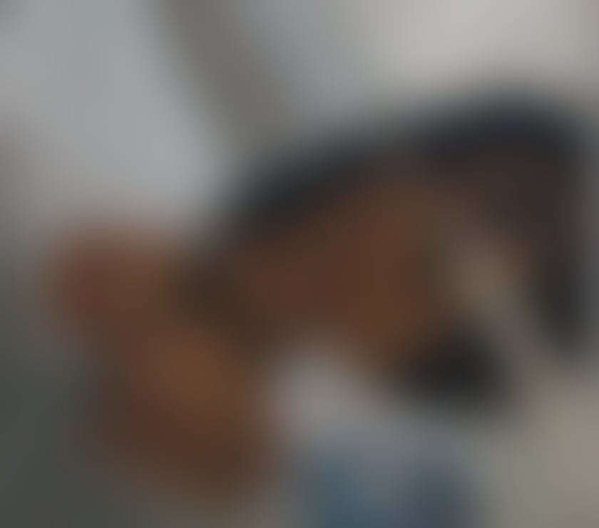  Escorts Leicester City Centre Leicester - Photos for Hi I m new in town sandra🤑