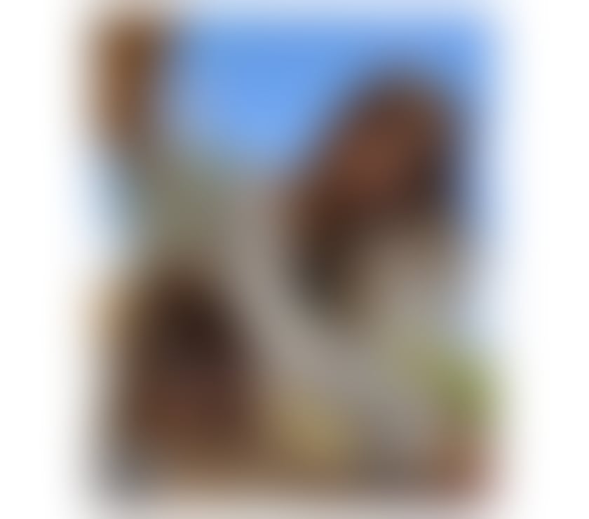 Escorts East London Havering - Photos for 🥂VIP COMPANION✨THE ULTIMATE EXPERIENCE👑TOP RATED⭐