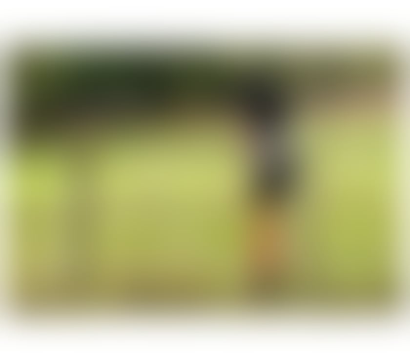 Sexy Ebony Gfe INDEPENDENT BRITISH Bisexual PARTY GIRL