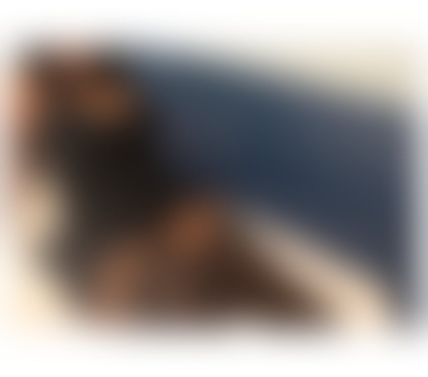 Escorts West London Euston - West London - Photos for BRITISH AFRICAN 🔥💋 Chocolate Skin 💦 GFE