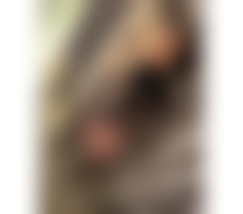 Escorts Hertfordshire Watford - Photos for EVELIN BEST SERVICES