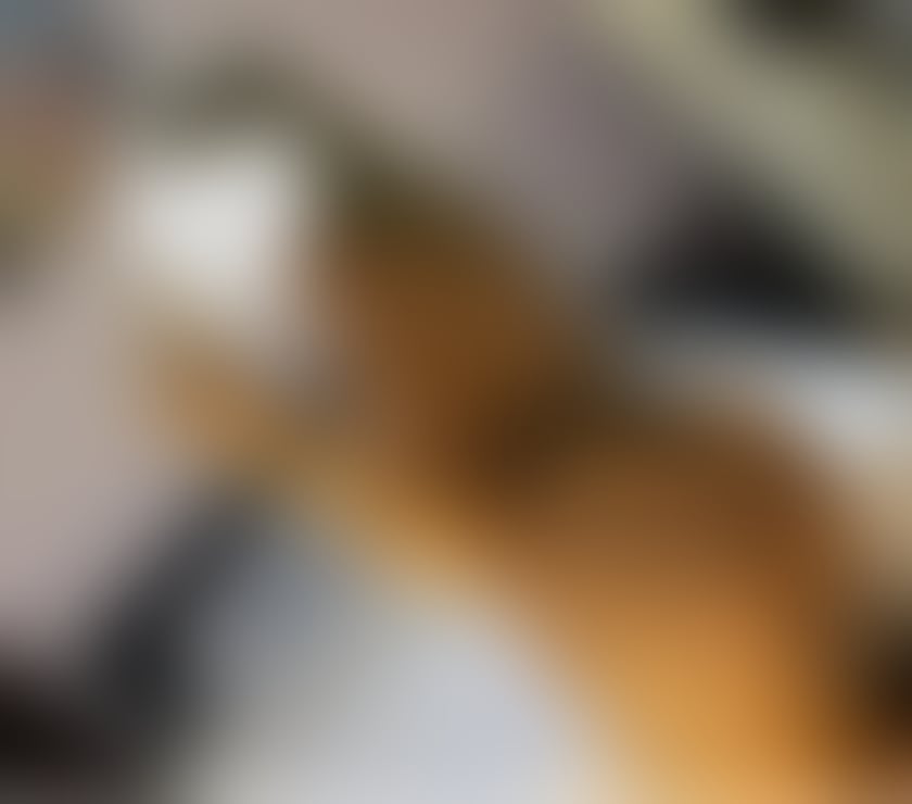 Escorts Doncaster City Centre Doncaster - Photos for NO HURRY 100% AUTHENTIC ❤️ the best PARTY