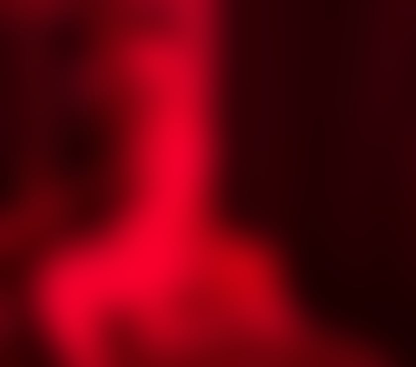 Escorts Fife Dunfermline - Fife - Photos for DMITRY PADILHA DUNFERMLINE