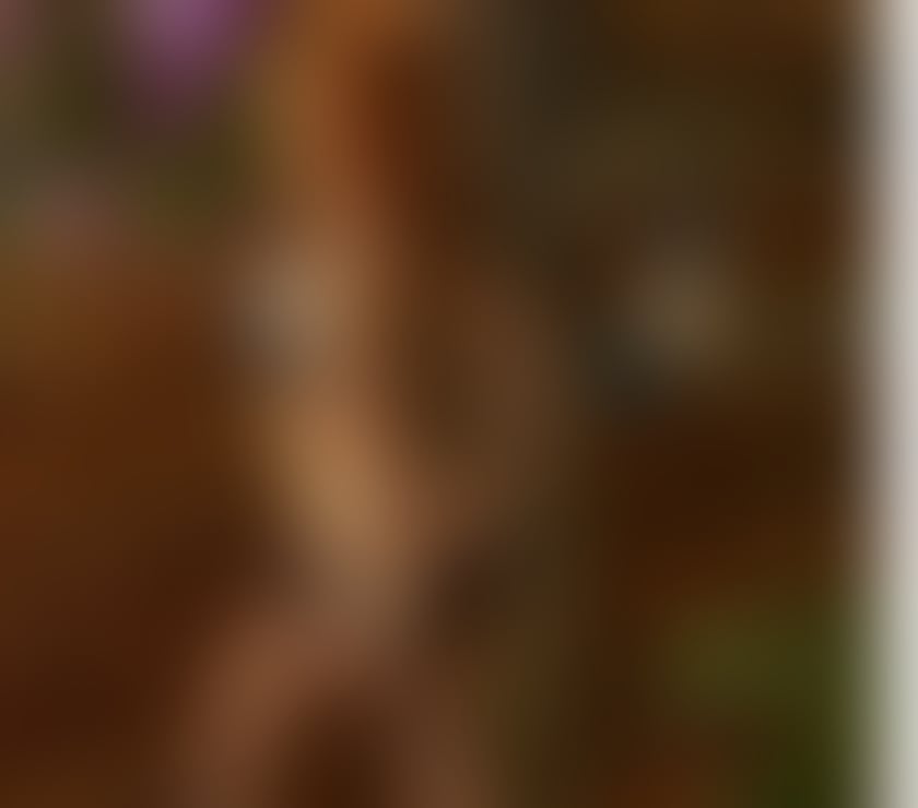 Escorts York Clifton - York - Photos for Mel, a hot brazilian