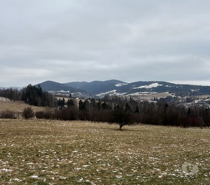 Escorts Bradford City Centre Bradford - Photos for Camilla sexy ❤️❤️❤️ and fun ❤️❤️❤️