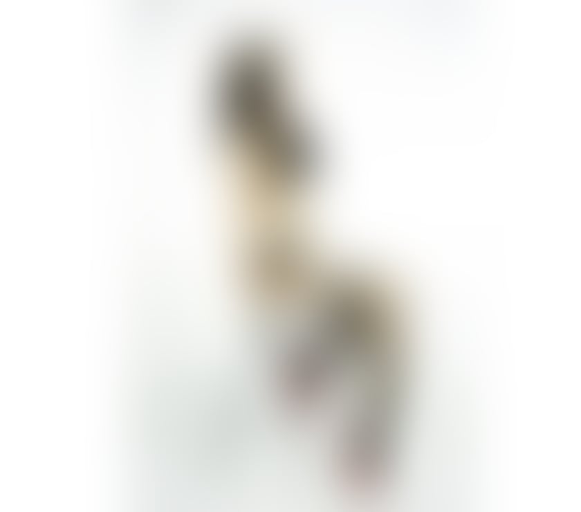 Escorts South East London Lewisham - Photos for Emily UNFORGETTABLE GIRLFRIEND EXPERIENCE & BEST BJ