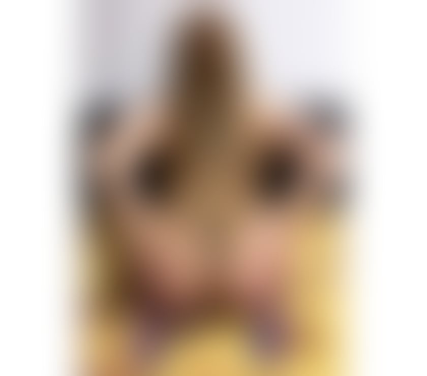 Hello i am Amelia sexy hot girls no ROSH