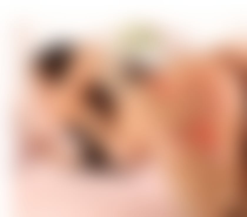 Trans Escorts Essex Colchester - Photos for StelllaangelXXL.