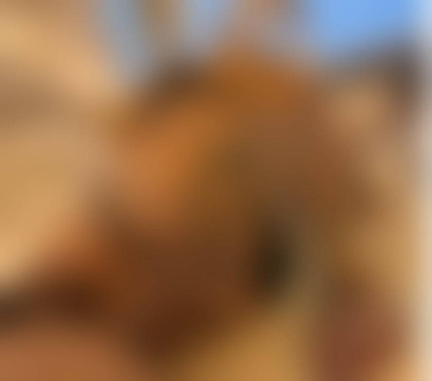 Escorts South West London Stockwell - South West London - Photos for Bruna Ninfa 23y.o naughty no rush Latina [P@rty