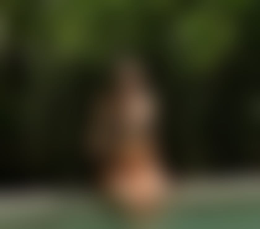 Escorts Somerset Frome - Somerset - Photos for MAJU 🇧🇷 Party girl 🥂🍾🍑🍓