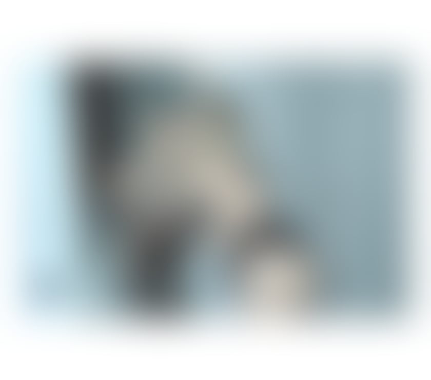 New girl in the town just arrive