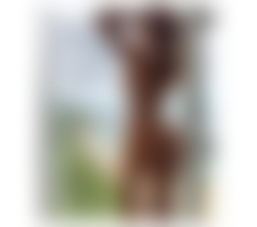 Escorts Hull Hull City Centre - Hull - Photos for 🔥 NAUGHTY GIRL 🔥