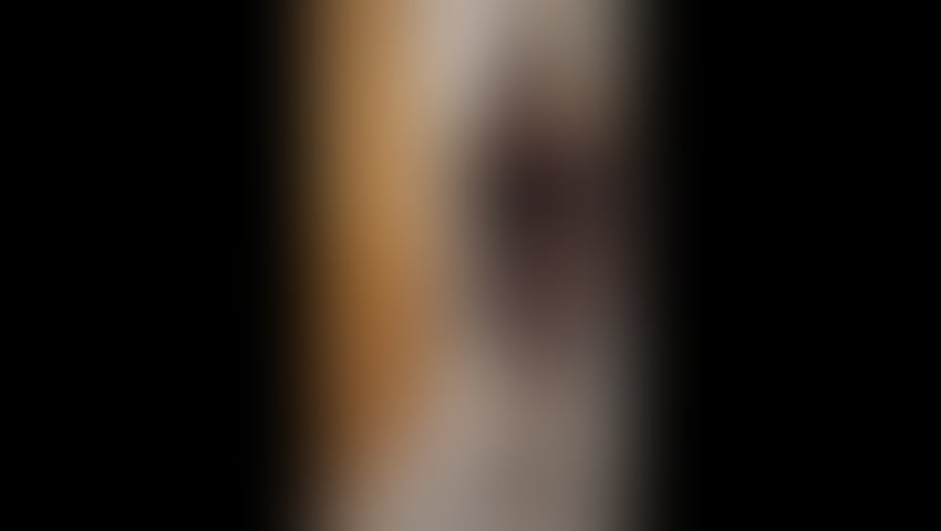 Escorts West Yorkshire Leeds - 