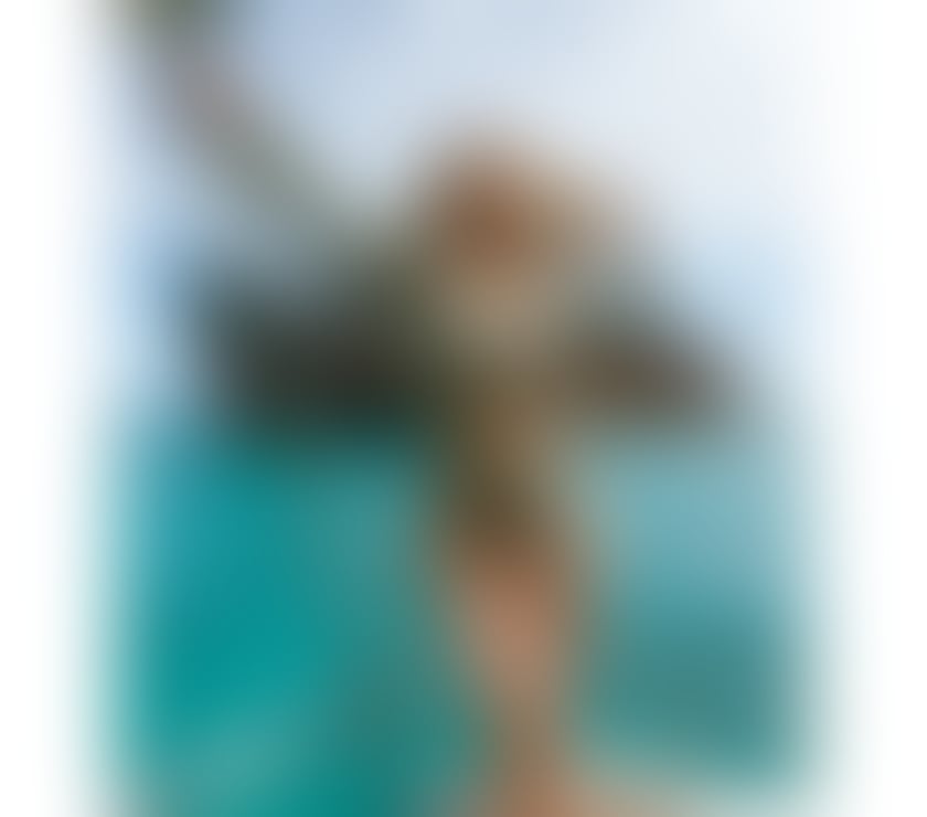 Escorts South Yorkshire Sheffield - Photos for Lara SECRETS ❤️ A pretty Angel NEW to the UK REAL PICS