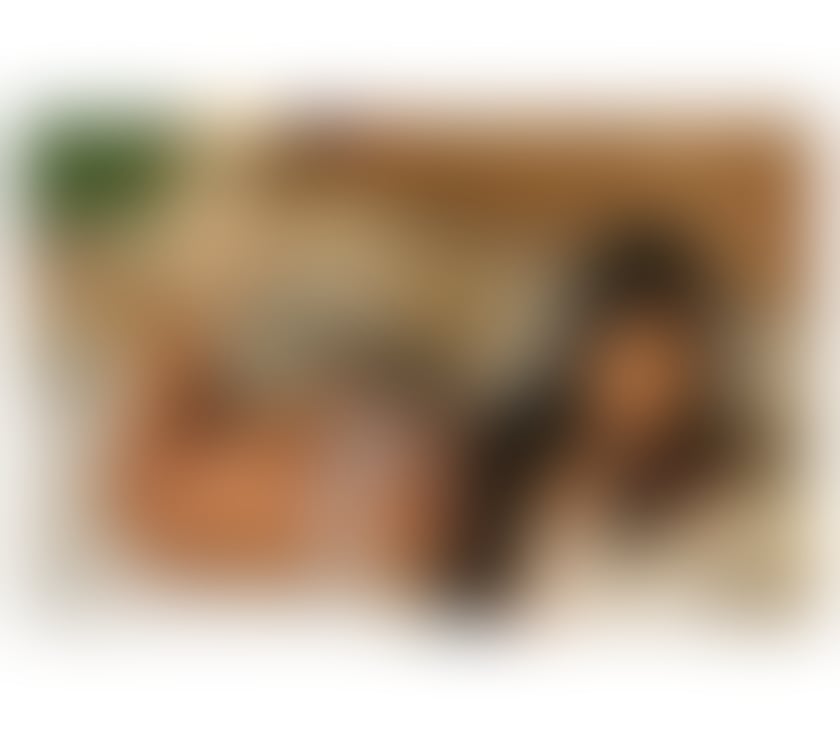 Escorts North London Seven Sisters Station - North London - Photos for ⚜️💎NAUGHTY♥️PARTY GFE💎⚜️