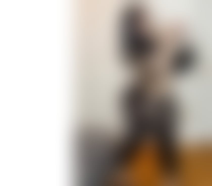 Escorts Somerset North Somerset - Photos for SOFY🥂KISS💋OWO❤️FULL GFE 💋PARTY 🥰