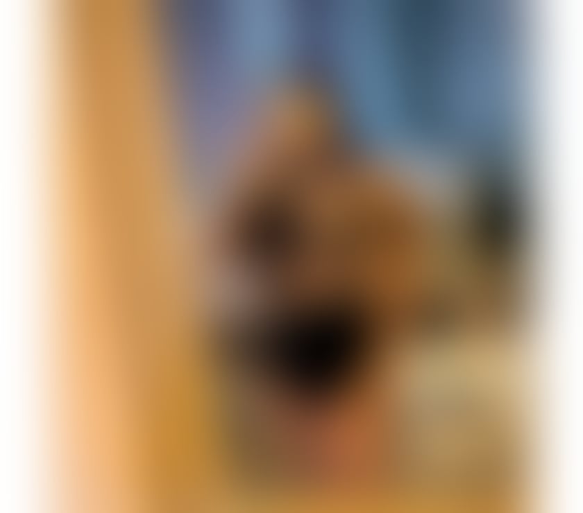 Escorts Cheshire West and Chester Chester - Cheshire West and Chester - Photos for HOT BRAZILIAN JULIA 🔥🥂❤️