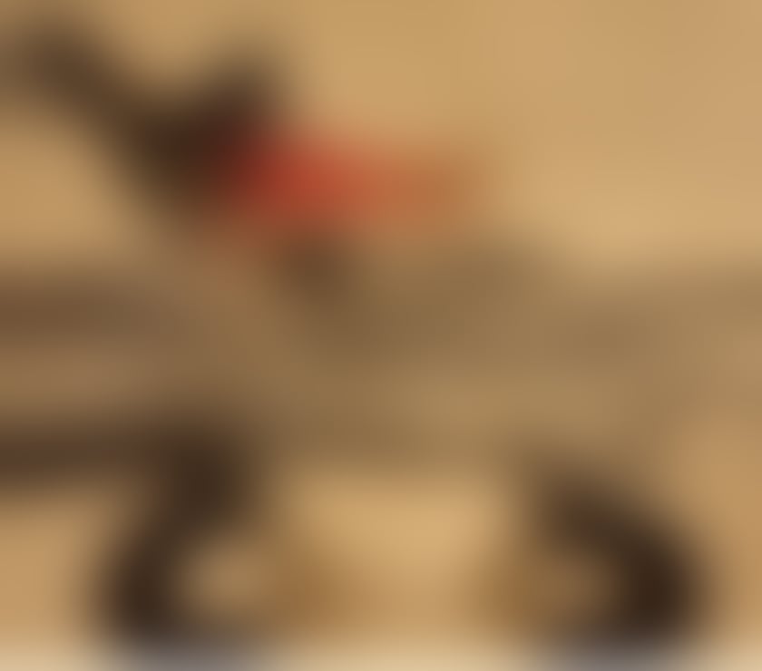 Escorts North West London Camden - Photos for Bruna 😈 Domination 🔥 Party Girl 🎉