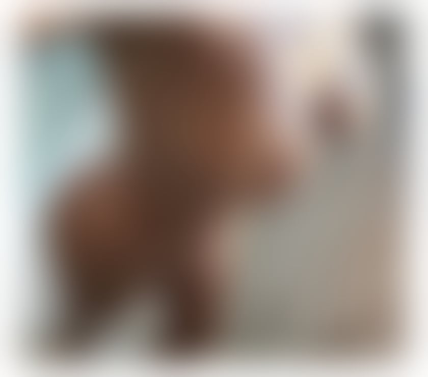 Escorts West London Hillingdon - Photos for Sophia ✨ PARTY 🎉🥂