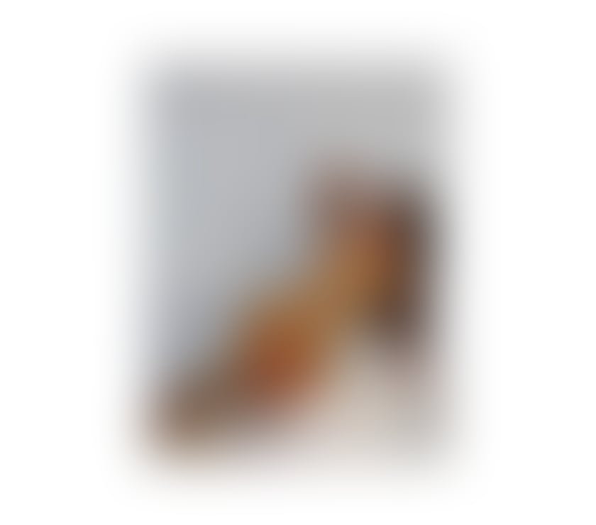 Escorts Greater Manchester Manchester - Photos for LARISSA! NEW IN MANCHESTER 🔥